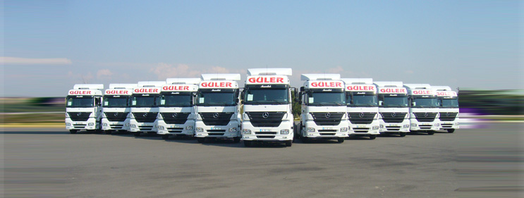 Karayolu /  Güler Transport